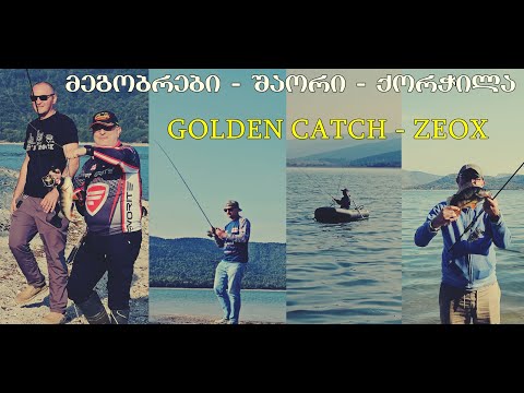 შაორი - ZEOX - მეგობრები - GOLDEN CATCH - ქორჭილა